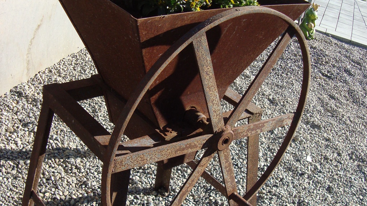 Photo of Outdoor in Wangen im Allgaeu