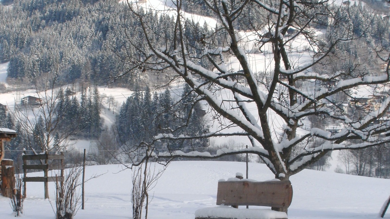 Photo of Outdoor in Laimach