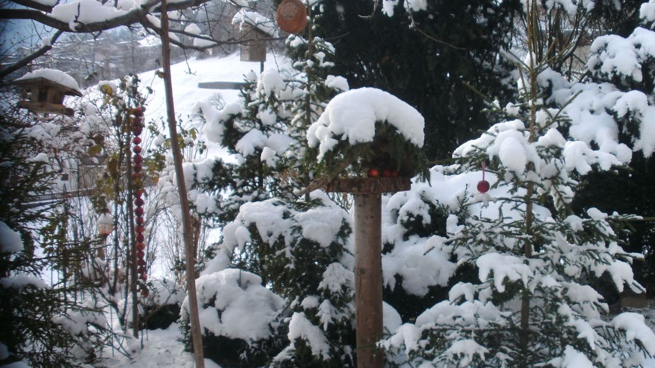 Photo of Outdoor in Laimach