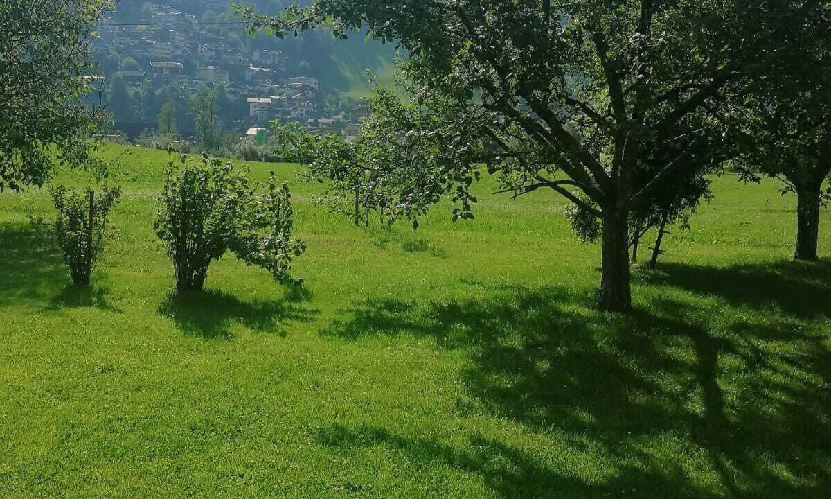 Photo of Outdoor in Laimach