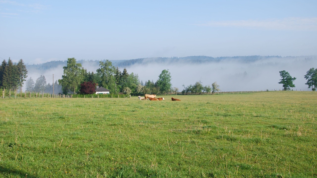 Photo of Outdoor in Nuttlar