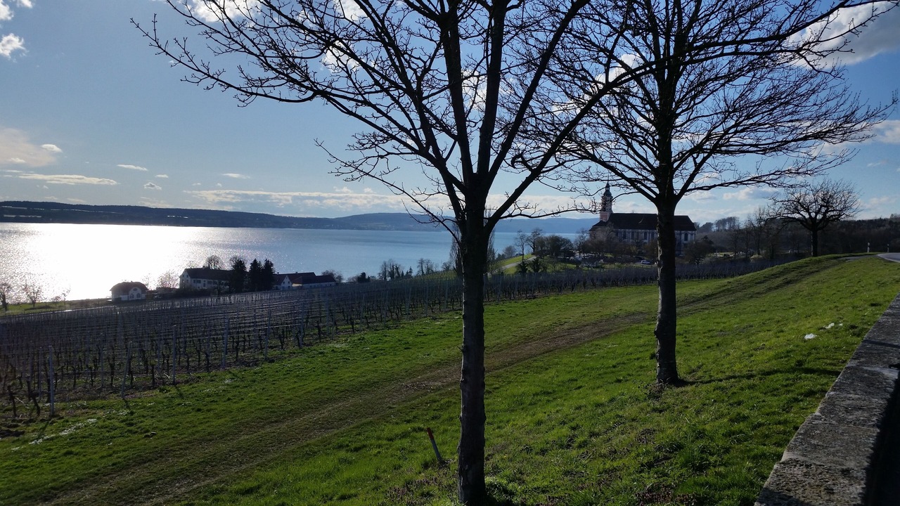 Photo of Outdoor in Uhldingen-Muehlhofen