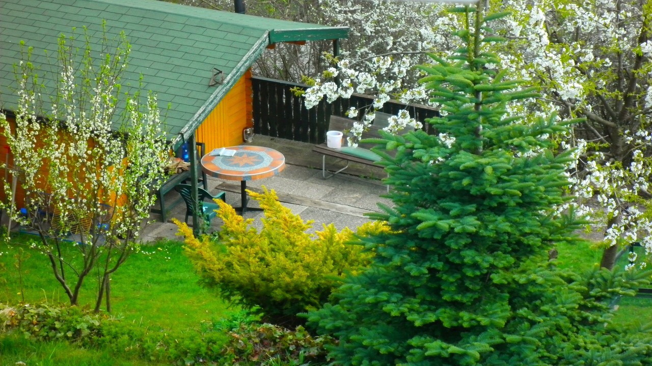 Photo of Patio Balcony in Schwalefeld