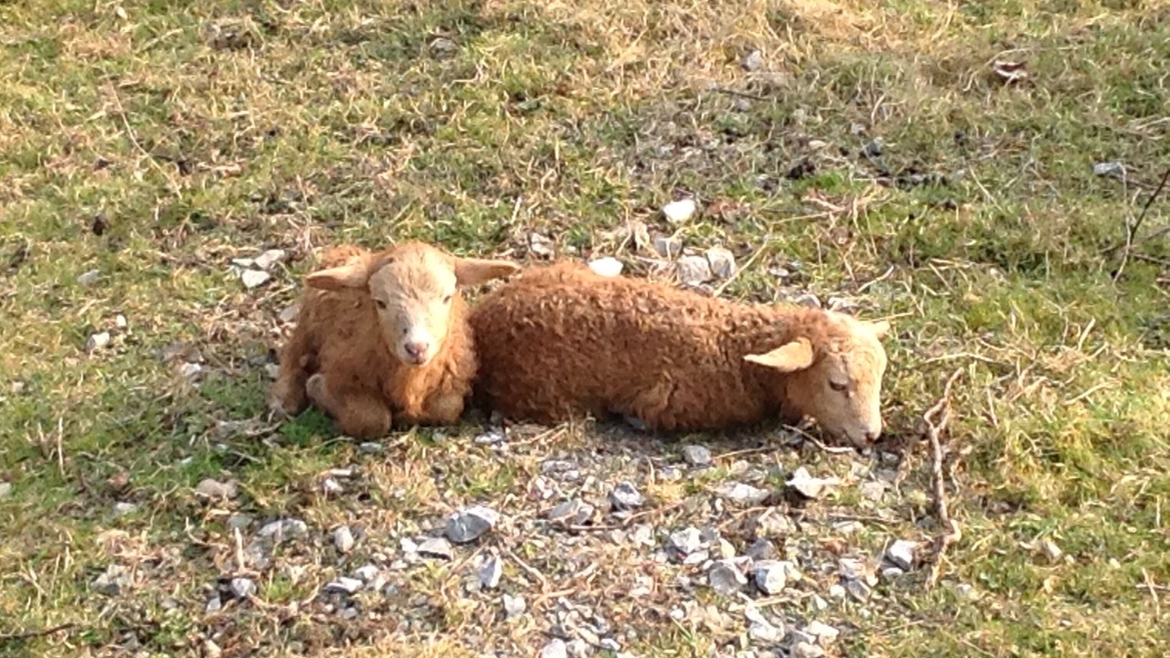 Photo of Outdoor in Schwalefeld