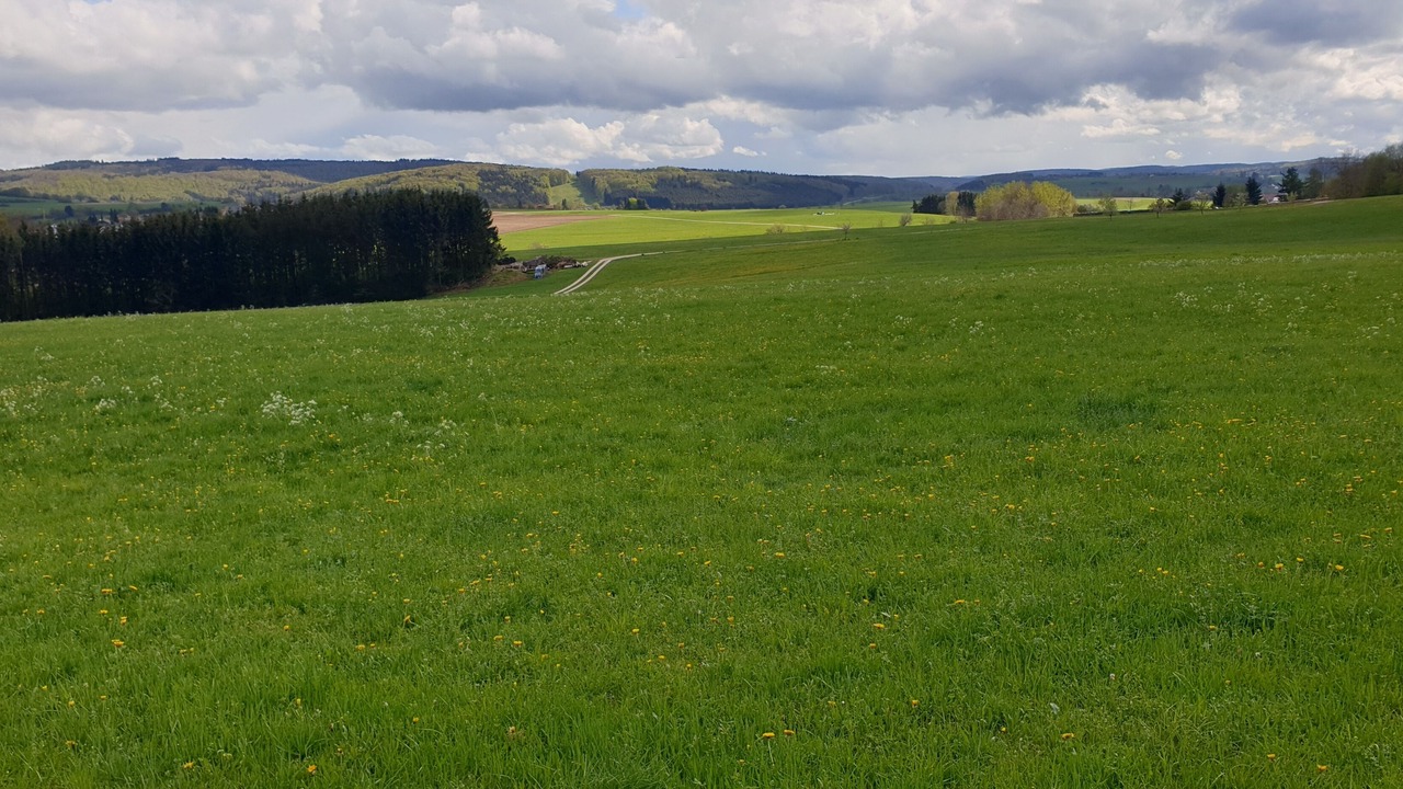 Photo of Others in Bad Urach
