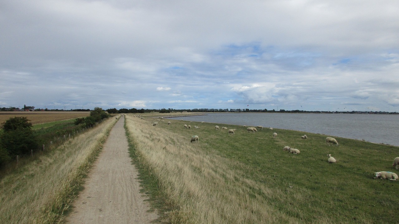Photo of Others in Landkirchen