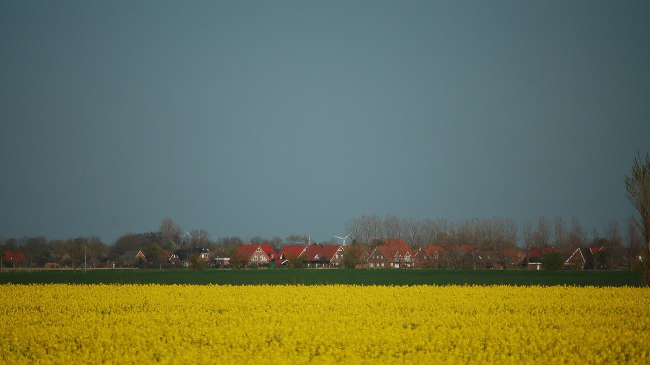 Photo of Outdoor in Krummhoern