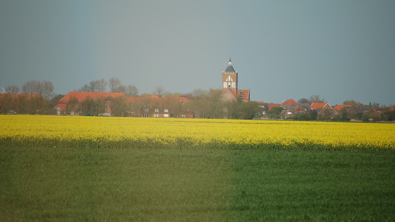 Photo of Others in Krummhoern