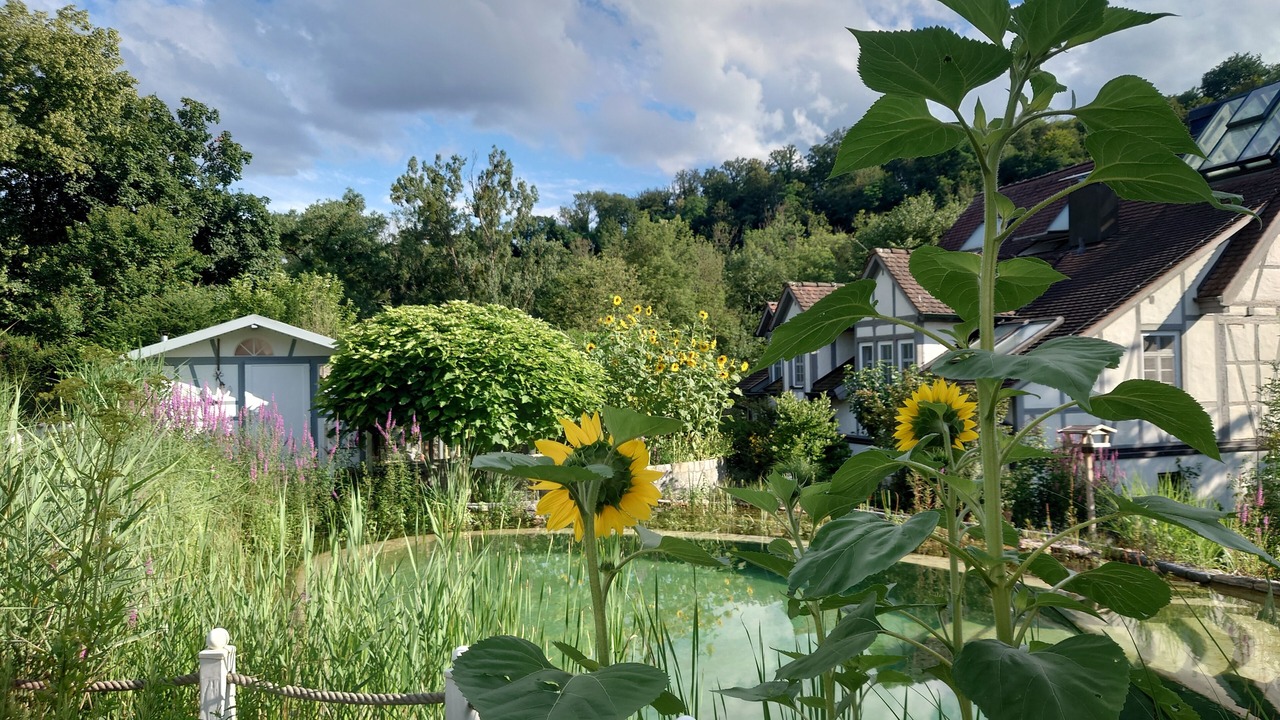 Photo of Outdoor in Neckarrems