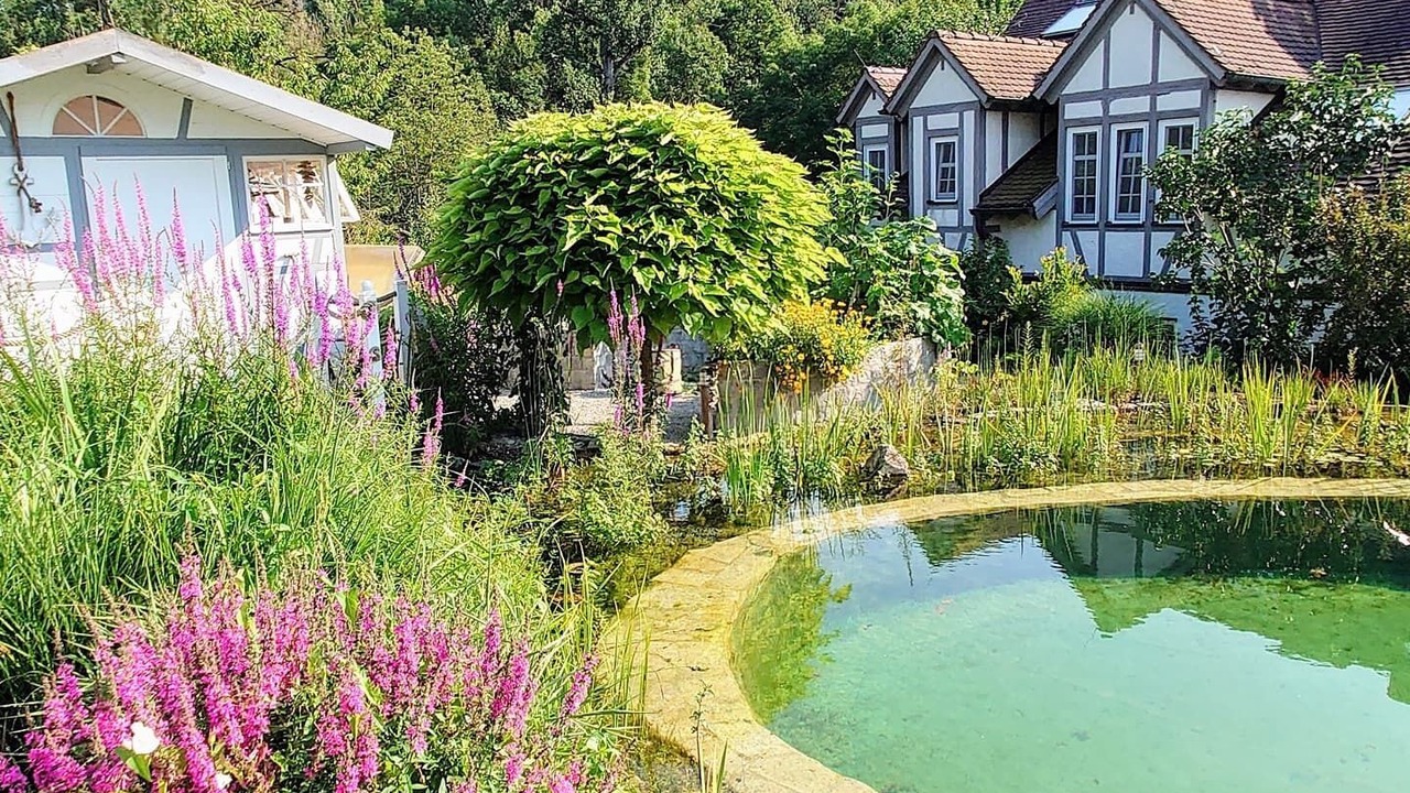 Photo of Outdoor in Neckarrems