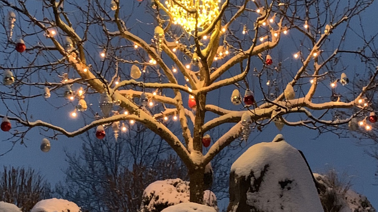 Photo of Outdoor in Gaimberg