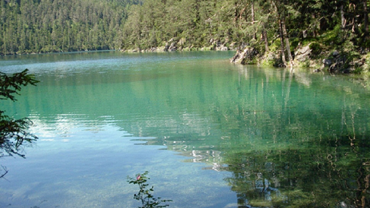 Photo of Others in Biberwier