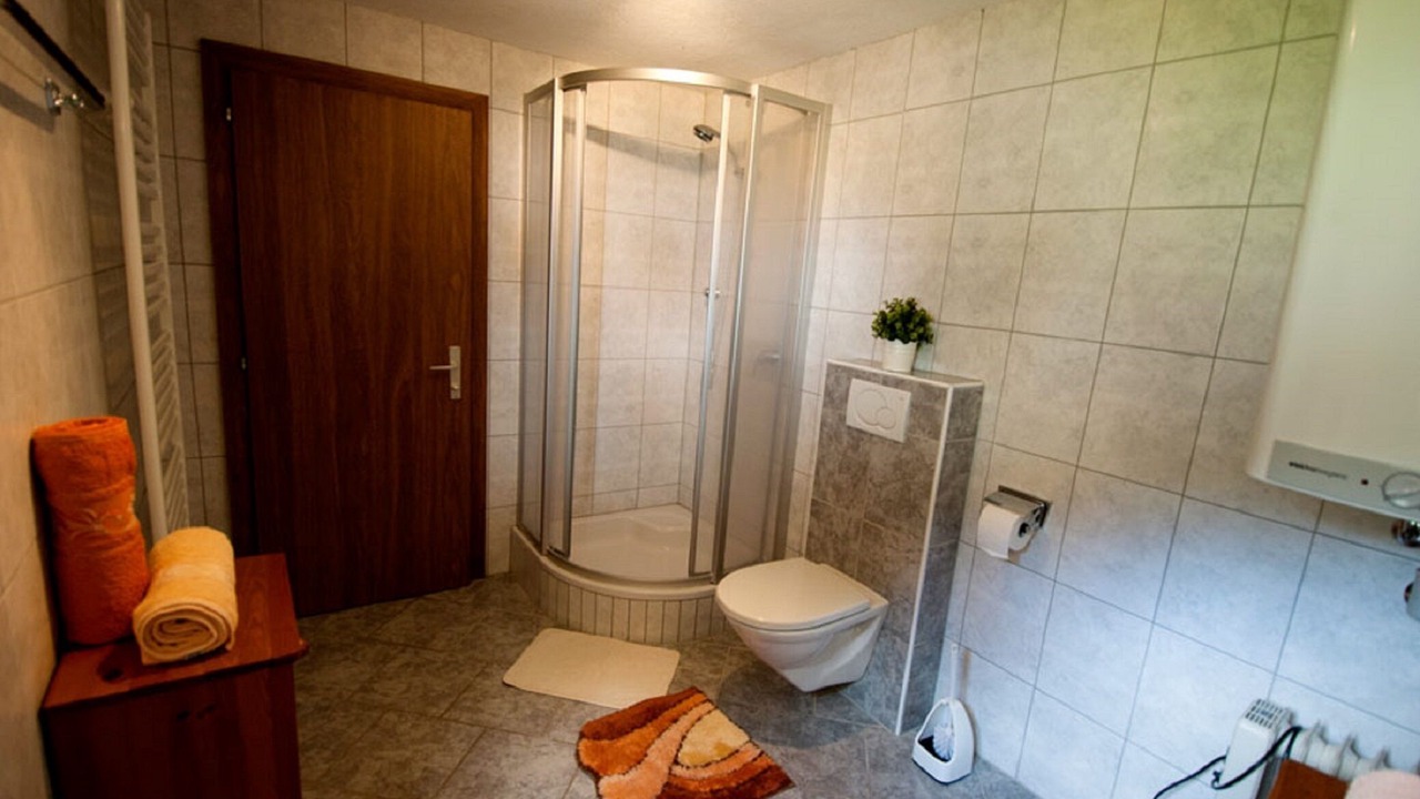 Photo of Bathroom in Biberwier