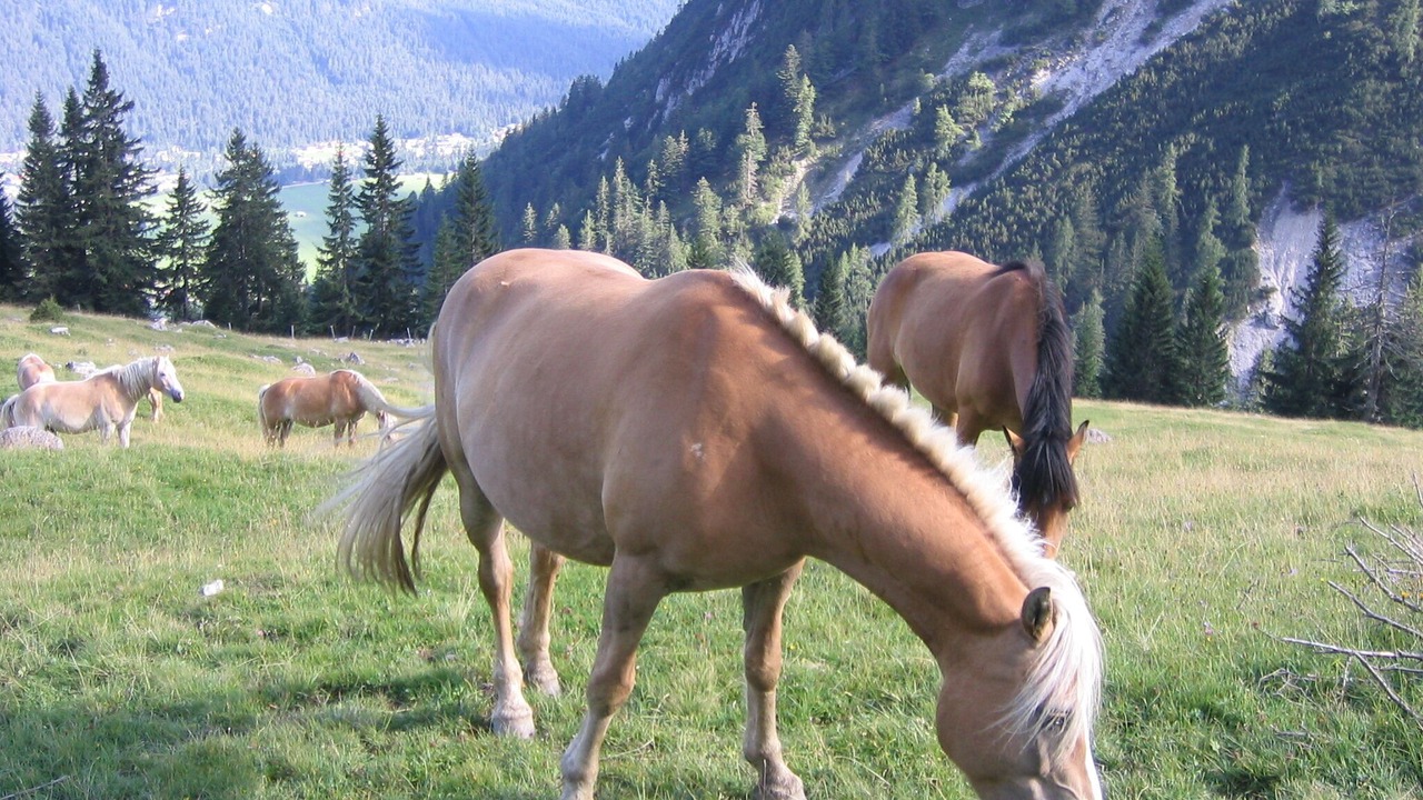 Photo of Outdoor in Weidach