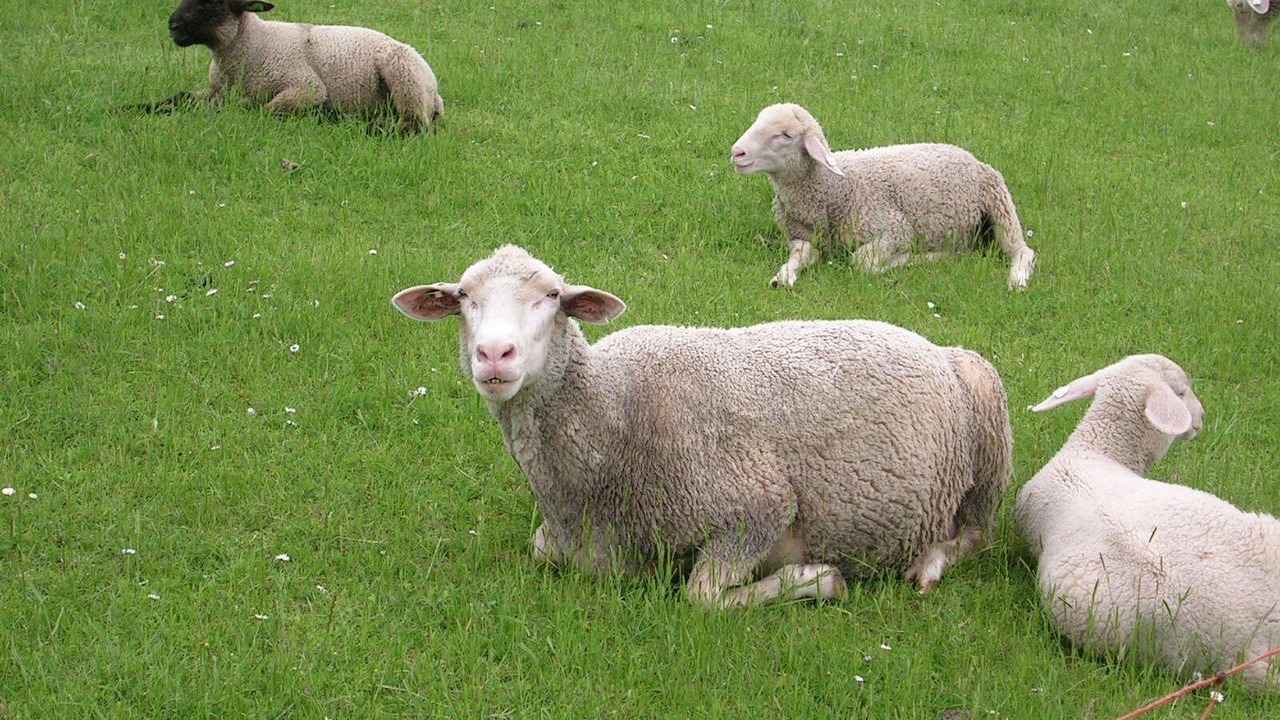Photo of Outdoor in Hamswehrum