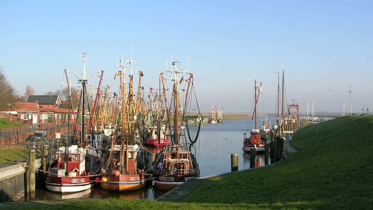 Photo of Others in Hamswehrum