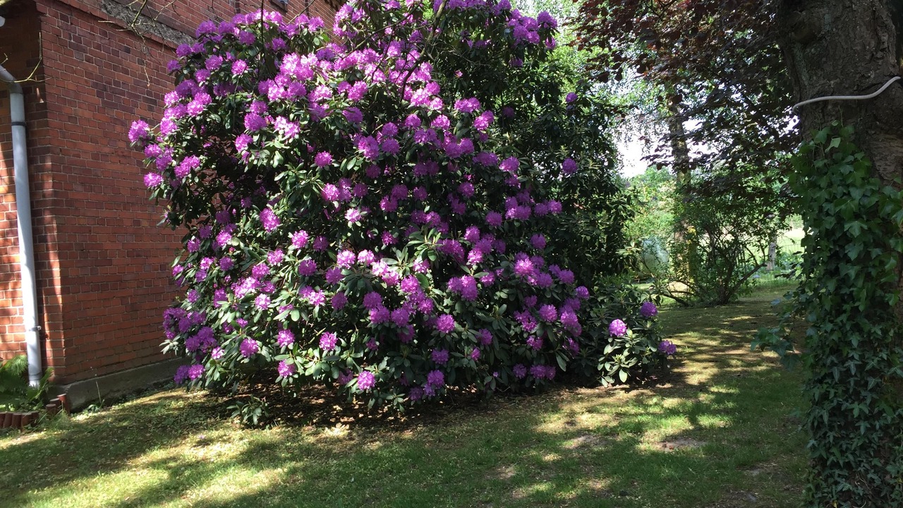 Photo of Outdoor in Frankenfeld