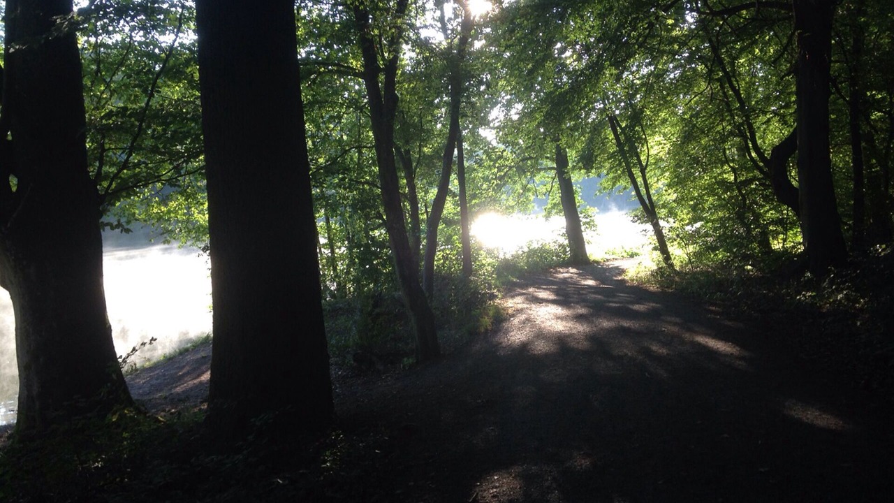 Photo of Outdoor in Heidesee