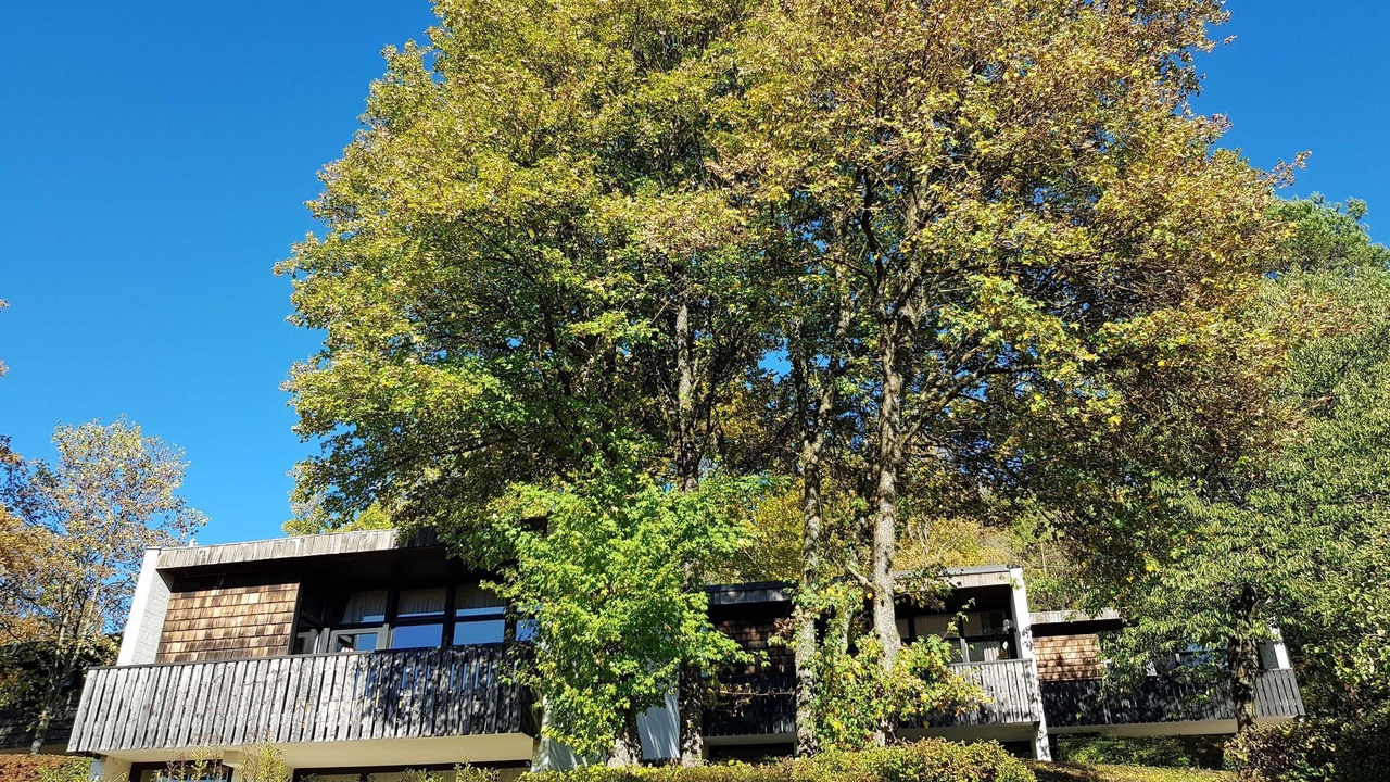 Photo of Outdoor in Heiligenstadt in Oberfranken