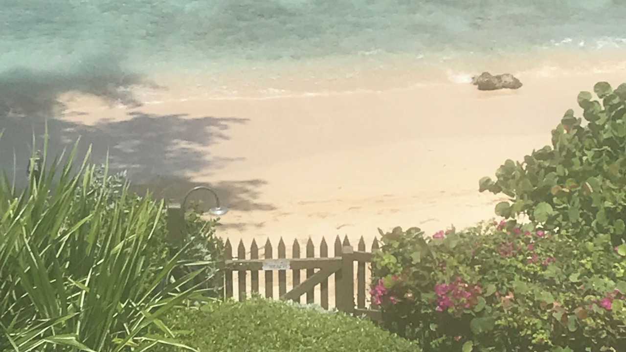 Photo of Others in Old Trees Bay
