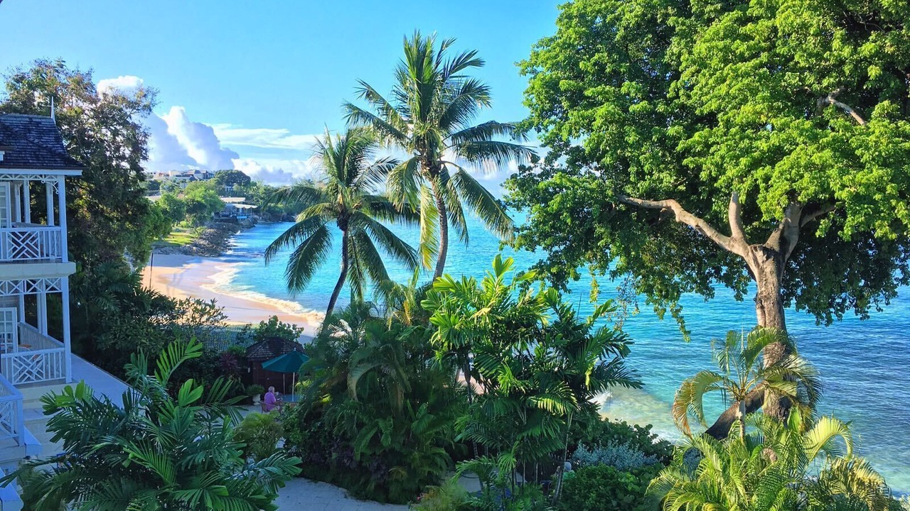 Photo of Others in Old Trees Bay