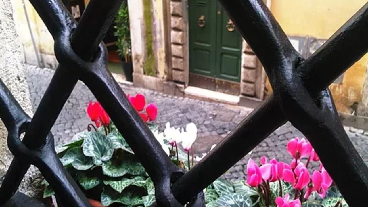 Photo of Outdoor in Rione V Ponte