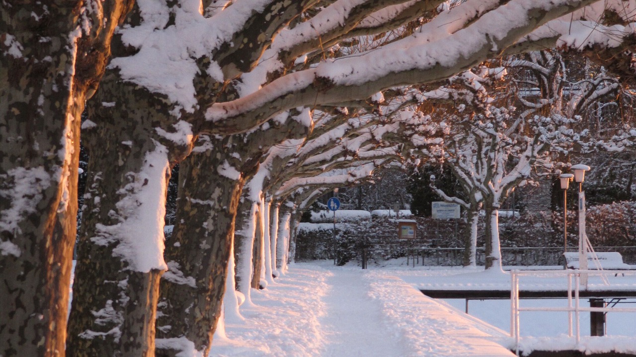 Photo of Outdoor in Petershausen-Ost