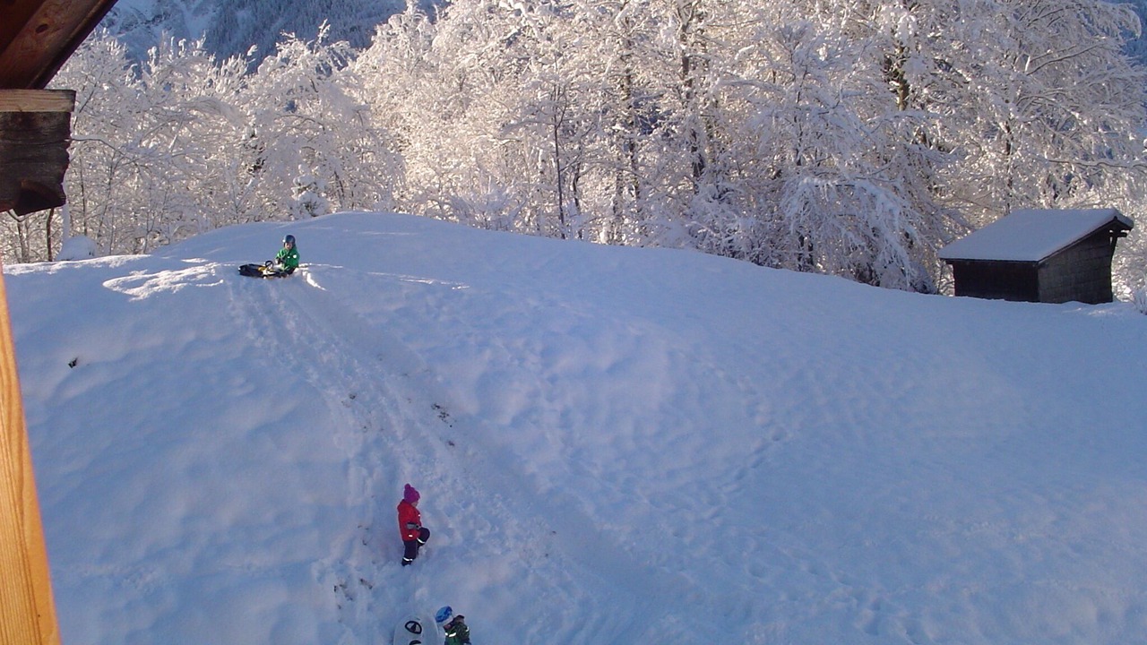 Photo of Others in Hasliberg Reuti