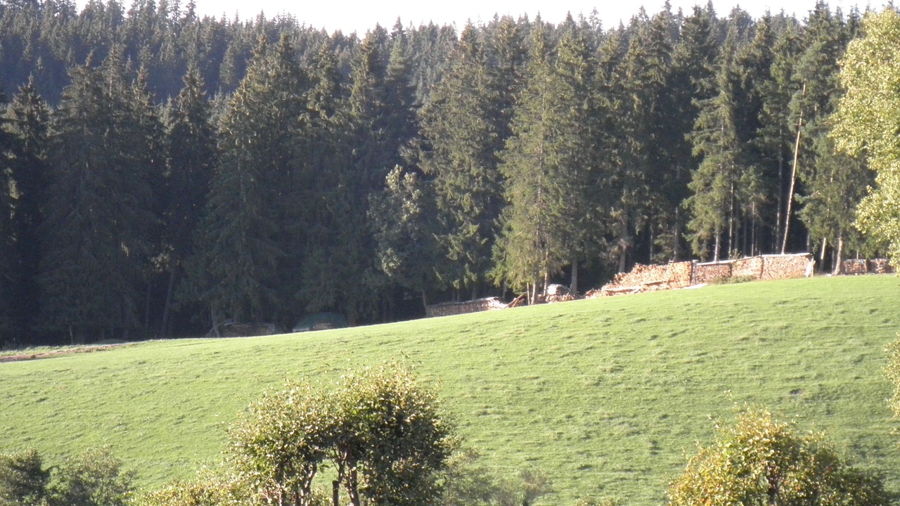 Photo of Others in Titisee-Neustadt