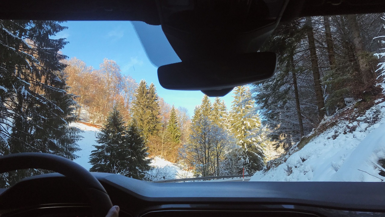 Photo of Outdoor in Todtnau