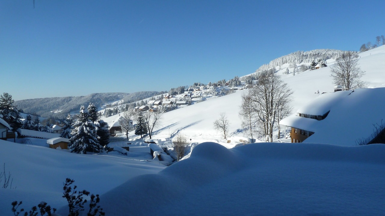 Photo of Others in Todtnau