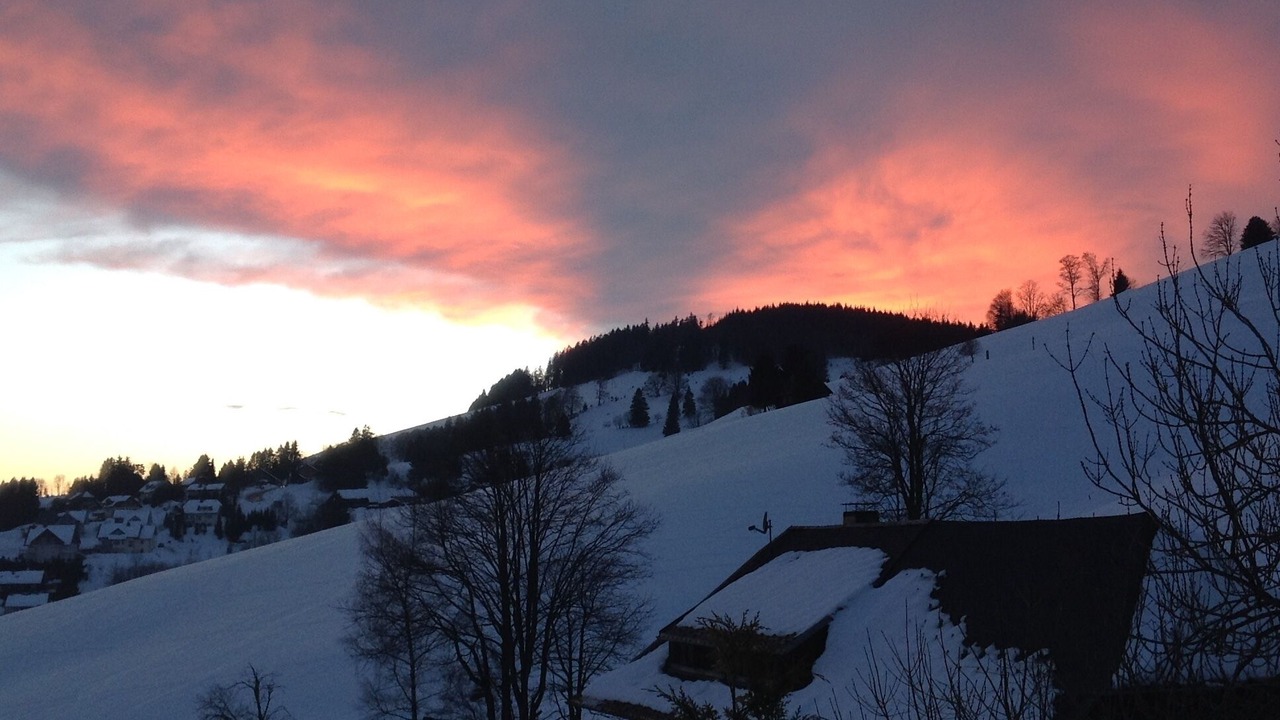 Photo of Outdoor in Todtnau
