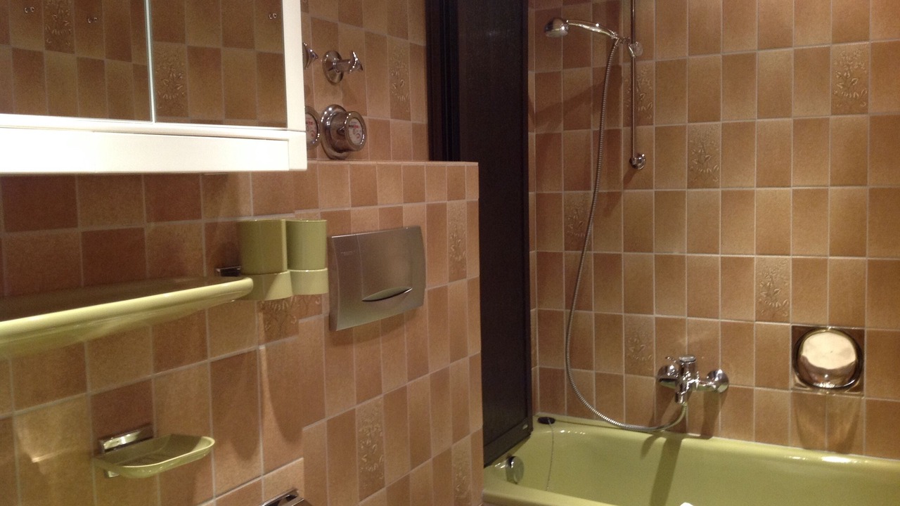 Photo of Bathroom in Todtnau