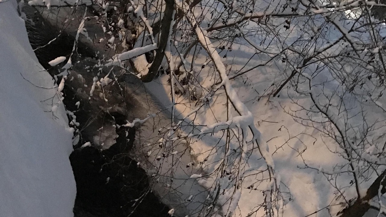 Photo of Others in Westfeld