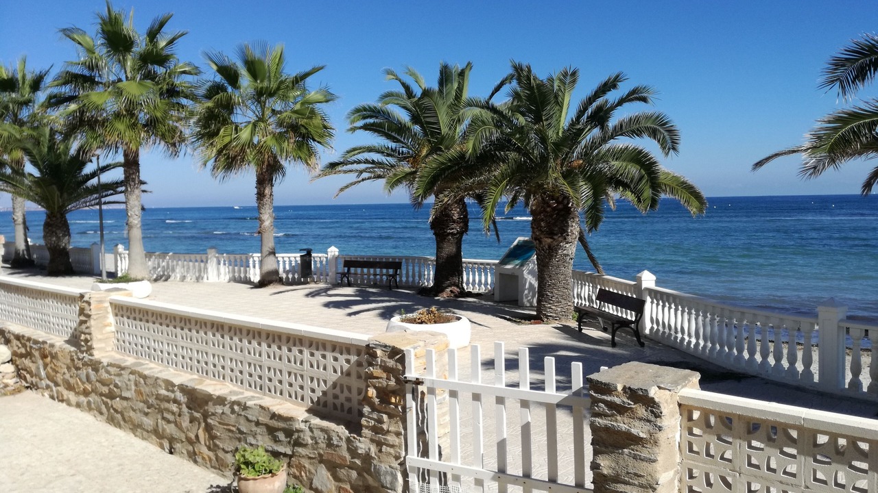 Photo of Outdoor in Pilar de la Horadada