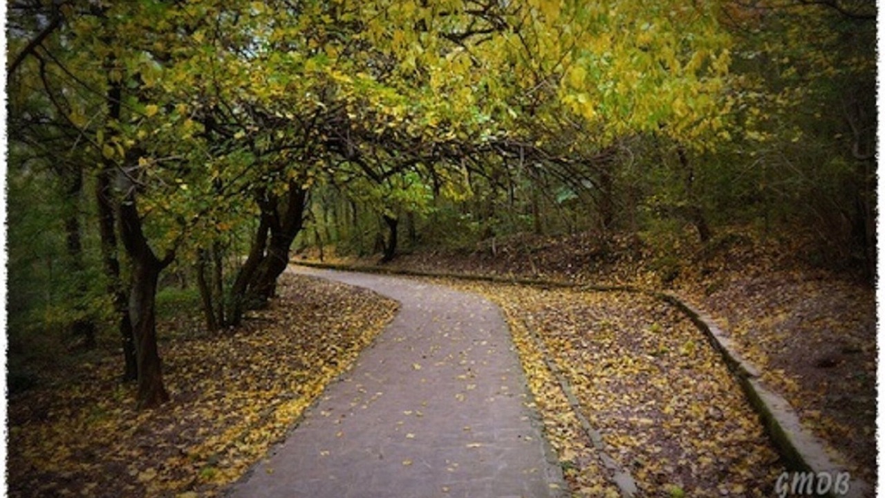 Photo of Outdoor in Roiano-Gretta-Barcola-Cologna-Scorcola