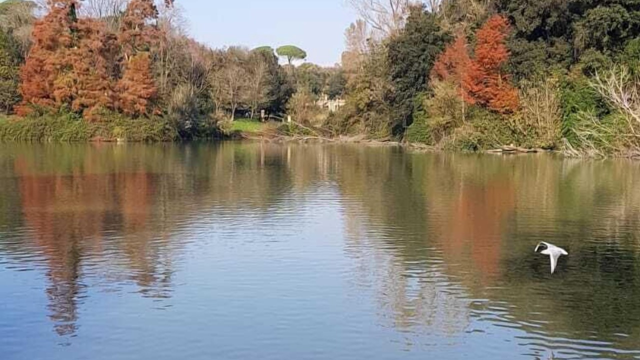 Photo of Others in Gianicolense