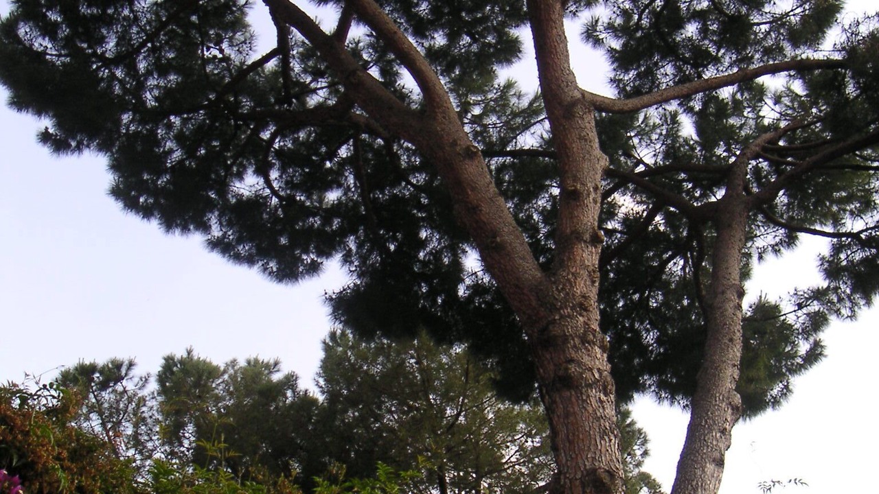 Photo of Outdoor in Gianicolense