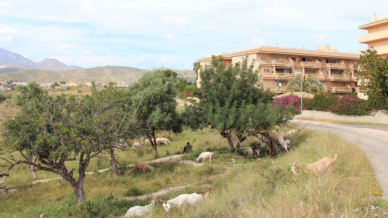 Photo of Outdoor in Coveta Fuma