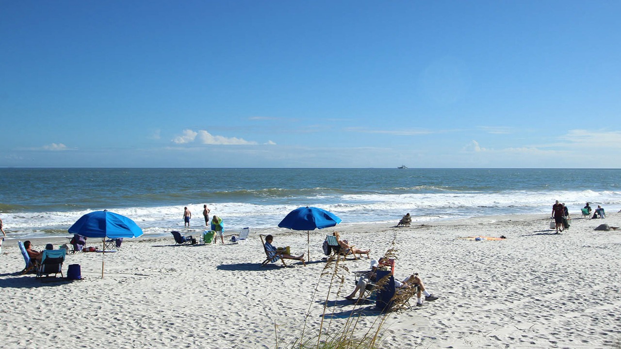 Photo of Others in Folly Field