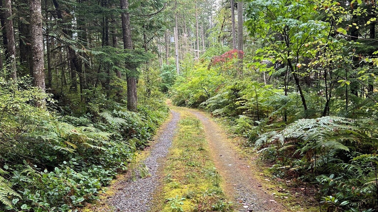 Photo of Others in Upper Squamish