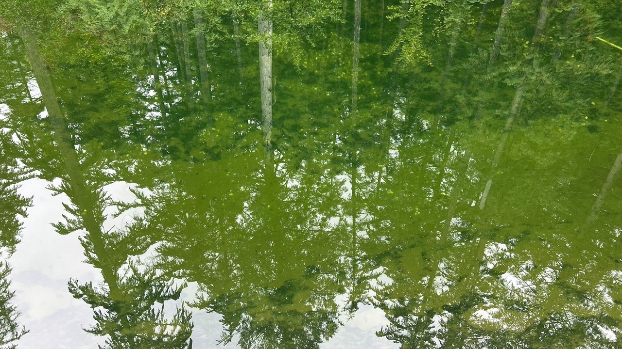 Photo of Others in Upper Squamish