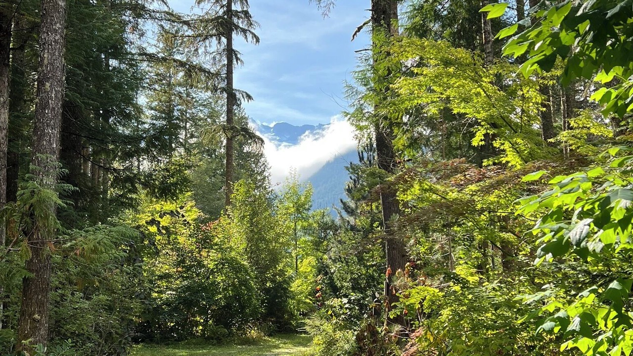 Photo of Others in Upper Squamish