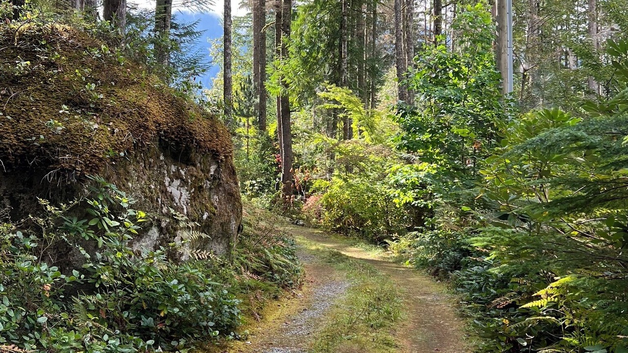 Photo of Others in Upper Squamish