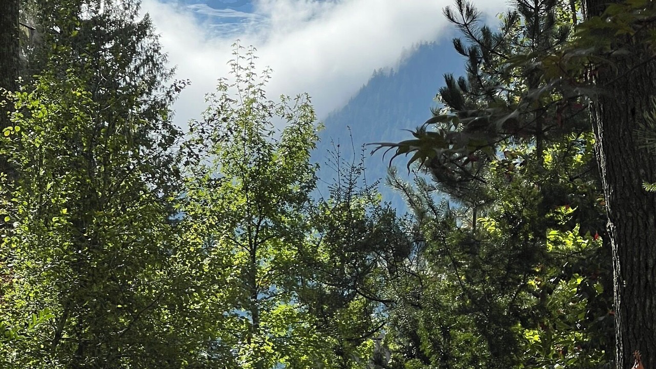 Photo of Others in Upper Squamish