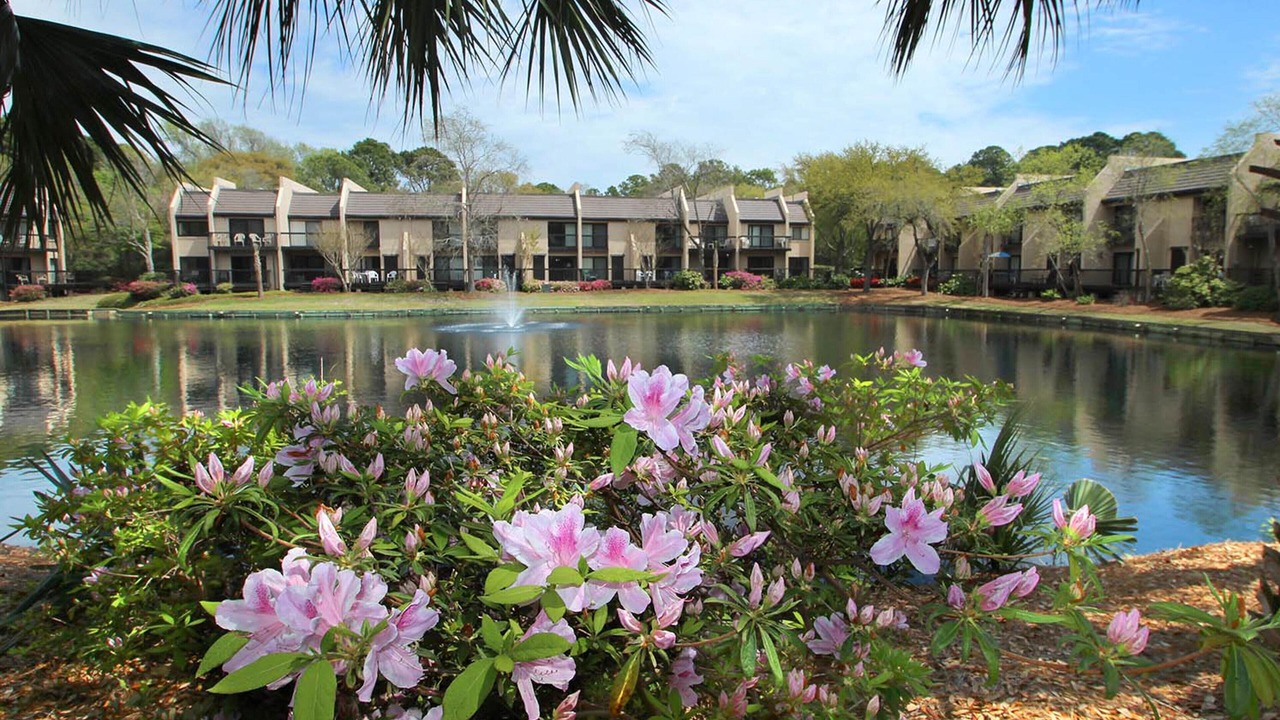 Photo of Outdoor in Folly Field