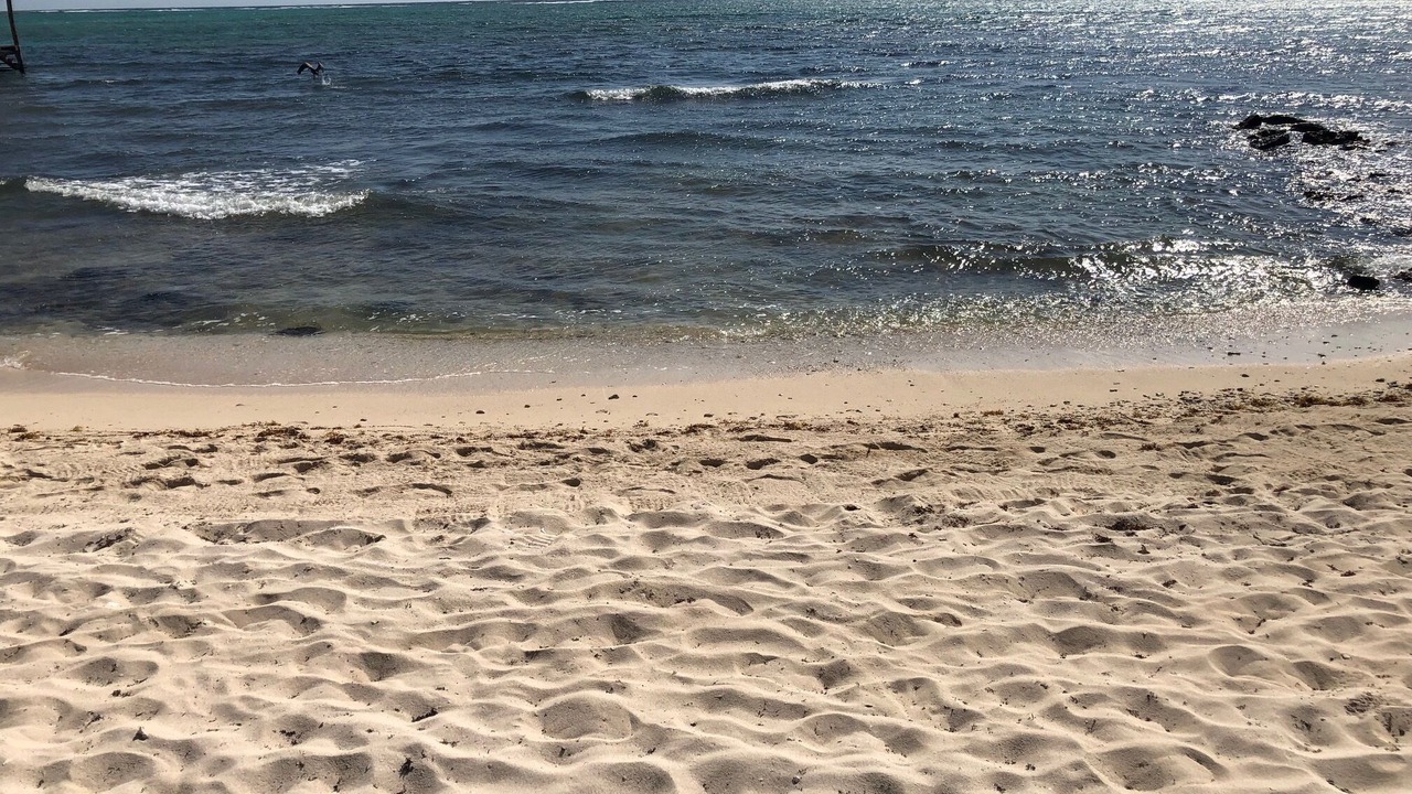 Photo of Others in Soliman Bay