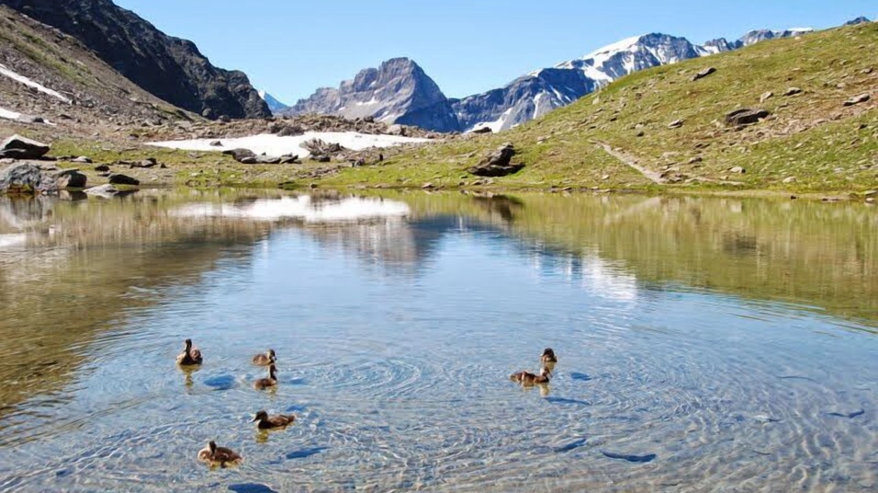 Photo of Outdoor in Arc-1800