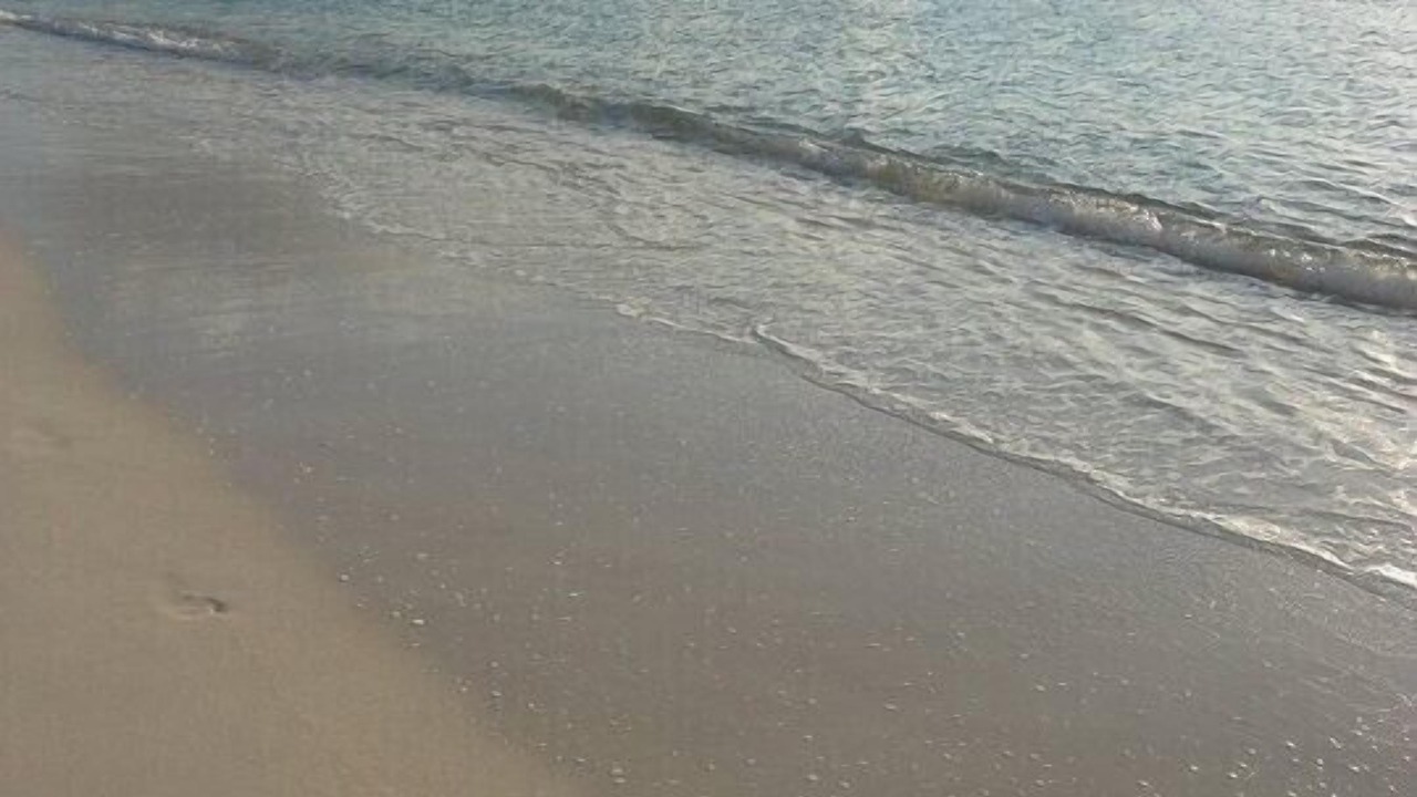 Photo of Others in Seven Mile Beach