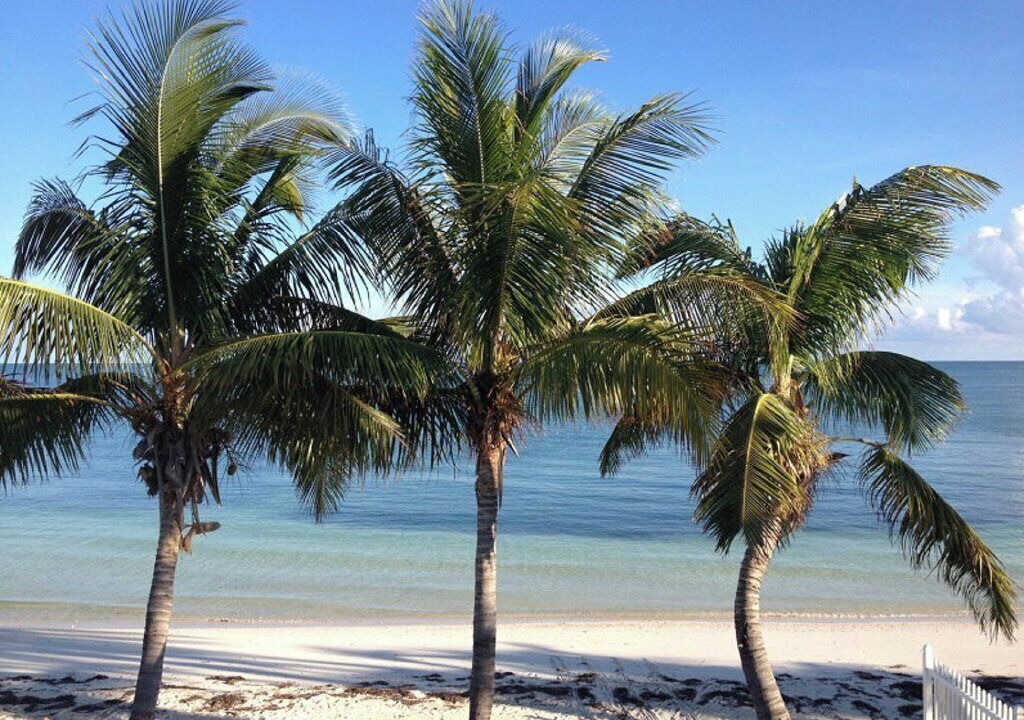 Photo of Others in Key Colony Beach